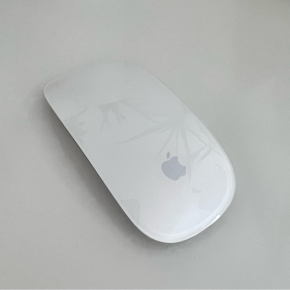 Apple Magic Mouse - 1st Gen